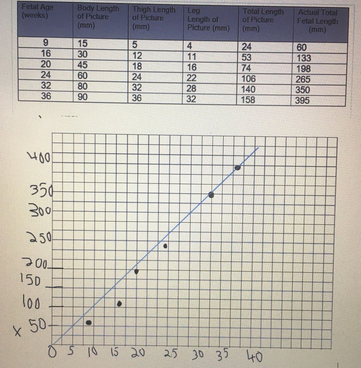 Fetal Age
(weeks)
Body Length
of Picture
Thigh Length
of Picture
Leg
Total Length
Actual Total
Length of
of Picture
Fetal Length
(mm)
(mm)
Picture (mm)
(mm)
(mm)
9
15
5
4
24
60
16
30
12
11
53
133
20
45
18
16
74
198
24
60
24
22
106
265
32
80
36
90
80
32
28
36
32
122
140
350
158
395
400
350
300
250
200
150
100
x 50
0 5 10 15 20 25 30 35 40