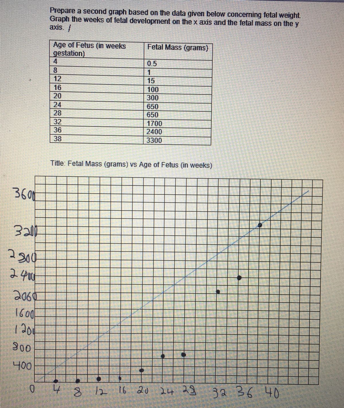 360M
320
2304
2400
2060
1600
1200
300
400
Prepare a second graph based on the data given below concerning fetal weight
Graph the weeks of fetal development on the x axis and the fetal mass on the y
axis.
Age of Fetus (in weeks
gestation)
Fetal Mass (grams)
4
0.5
8
1
12
15
16
100
20
300
24
650
28
650
32
1700
36
2400
38
3300
Title: Fetal Mass (grams) vs Age of Fetus (in weeks)
4 8 12 16 20 24 29 32 36.40
0 4 8