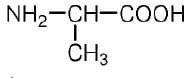 NH2–CH–COOH
I
CH3