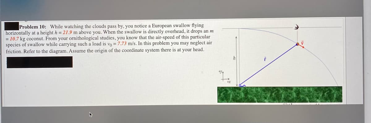 Problem 10: While watching the clouds pass by, you notice a European swallow flying
horizontally at a height h = 21.9 m above you. When the swallow is directly overhead, it drops an m
= 10.7 kg coconut. From your ornithological studies, you know that the air-speed of this particular
species of swallow while carrying such a load is vo = 7.73 m/s. In this problem you may neglect air
friction. Refer to the diagram. Assume the origin of the coordinate system there is at your head.
h
