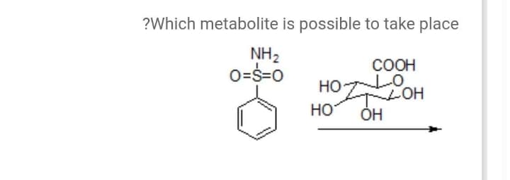 ?Which metabolite is possible to take place
NH2
0=S=0
COOH
HO LO
Но
LOH
HO

