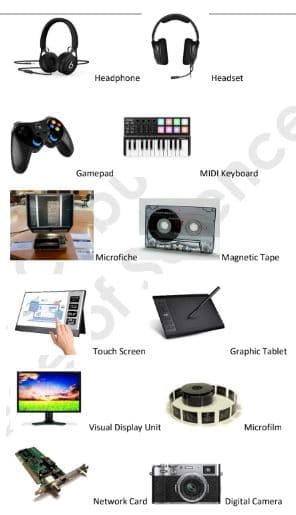 Неасphone
Headset
Gamepad
MIDI Keyboard
Microfiche
dreamstime
Magnetic Tape
Touch Screen
Graphic Tablet
Visual Display Unit
Microfilm
Network Card
Digital Camera
