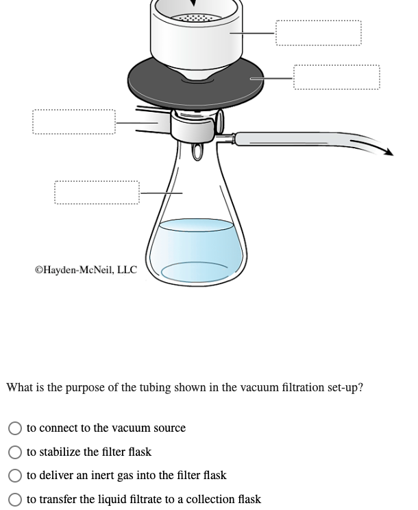 ⒸHayden-McNeil, LLC
What is the purpose of the tubing shown in the vacuum filtration set-up?
to connect to the vacuum source
to stabilize the filter flask
to deliver an inert gas into the filter flask
to transfer the liquid filtrate to a collection flask