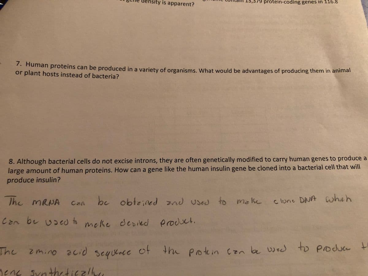 ity is apparent?
7. Human proteins can be produced in a variety of organisms. What would be advantages of producing them in animal
or plant hosts instead of bacteria?
The mRNA
,379 protein-coding genes in 116.8
8. Although bacterial cells do not excise introns, they are often genetically modified to carry human genes to produce a
large amount of human proteins. How can a gene like the human insulin gene be cloned into a bacterial cell that will
produce insulin?
MRNA can be obtained and used to make
Can be used to make desied product.
clone DNA which
The
amino acid sequence of the protein can be used to produce
gene synthetically,
t