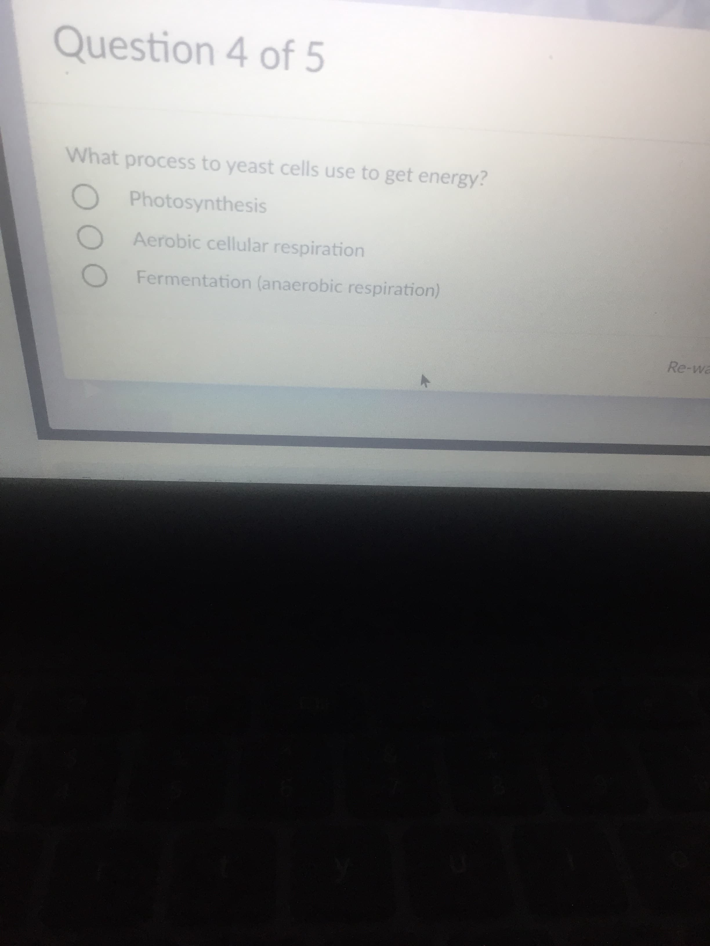 What process to yeast cells use to get energy?
Photosynthesis
Aerobic cellular respiration
Fermentation (anaerobic respiration)
