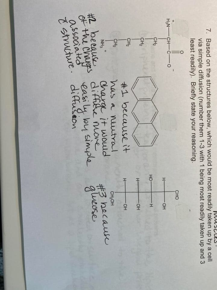 7. Based on the structures below, which would be most readily taken up by a cell
via simple diffusion (number them 1-3 with 1 being most readily taken up and 3
least readily). Briefly state your reasoning.
CHO
H3N-CH-c-o
H-
OH
CH2
HO
H.
CH2
OH
CH2
#1 because it
has a nuutral
H-
OH
CH2
CH2OH
Charge it would
diffihe iove
OF the Chargs easi ly by simple
#3 hecaus
glucose
NH3
#2 because
associated
T diffuscon
