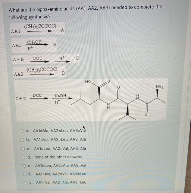 What are the alpha-amino acids (AA1, AA2, AA3) needed to complete the
following synthesis?
(CH3),COCOCI
AA1
A
CHOH
H*
AA2
A+ B
DCC
H*
(CH),COCOCI
AA3
D
но
NH2
DCC
NaOH
C+ D
H*
O a. AA1=Ala, AA2=Leu, AA3=Val
O b. AA1=Val, AA2=Leu, AA3=Ala
O c. AA1=Leu, AA2=Val, AA3=Ala
d.
none of the other answers
O e. AA1=Leu, AA2=Ala, AA3=Val
O f. AA1=Ala, AA2=Val, AA3=Leu
O g. AA1=Val, AA2=Ala, AA3=Leu
