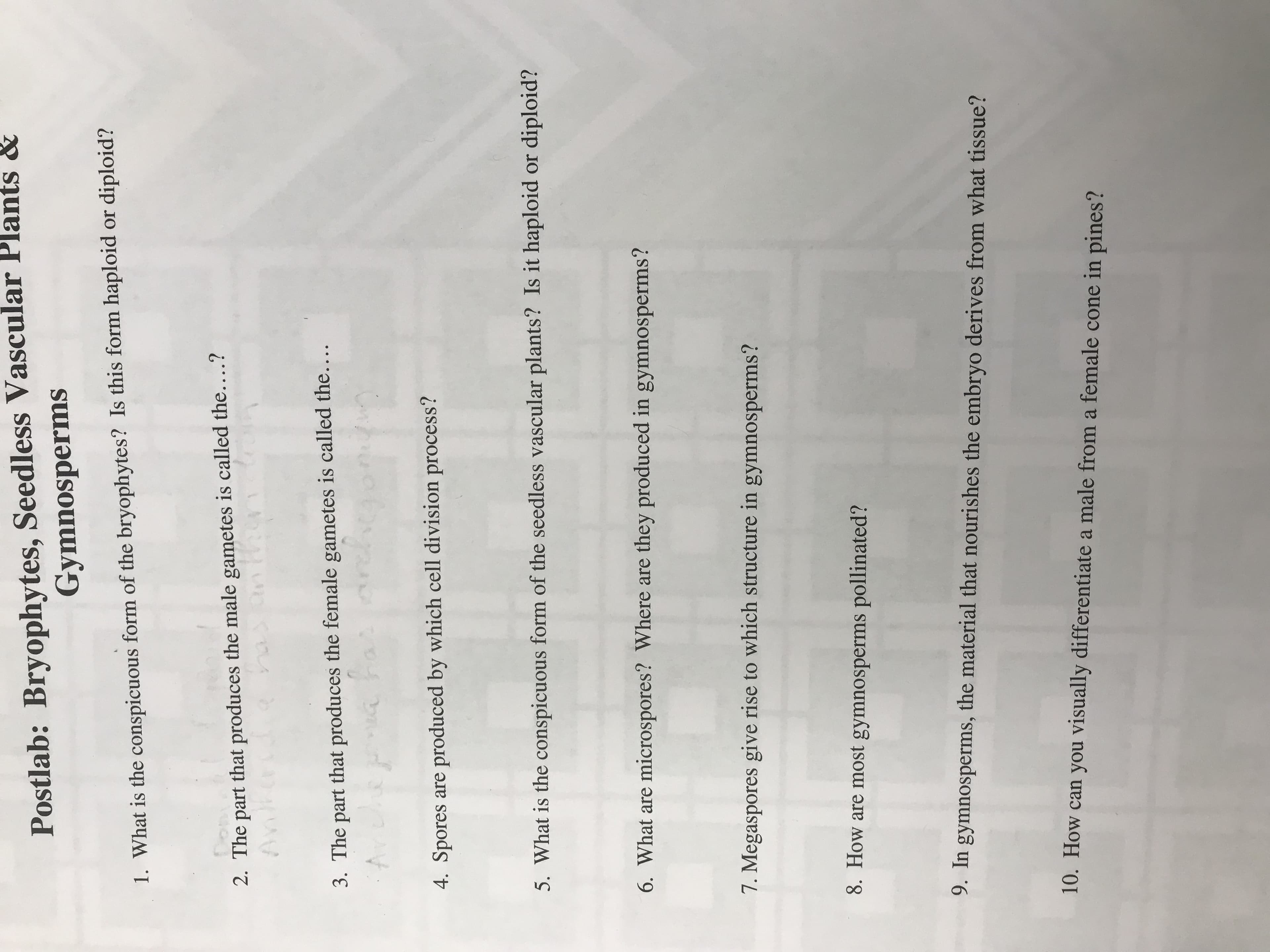 Postlab: Bryophytes, Seedless Vascular Plants &
Gymnosperms
1. What is the conspicuous form of the bryophytes? Is this form haploid or diploid?
2. The part that produces the male gametes is called the....?
3. The part that produces the female gametes is called the...
4. Spores are produced by which cell division process?
5. What is the conspicuous form of the seedless vascular plants? Is it haploid or diploid?
6. What are microspores? Where are they produced in gymnosperms?
7. Megaspores give rise to which structure in gymnosperms?
8. How are most gymnosperms pollinate
d?
9.
In gymnosperms, the material that nourishes the embryo derives from what tissue?
10. How can you visually differentiate a male from a female cone in pines?
