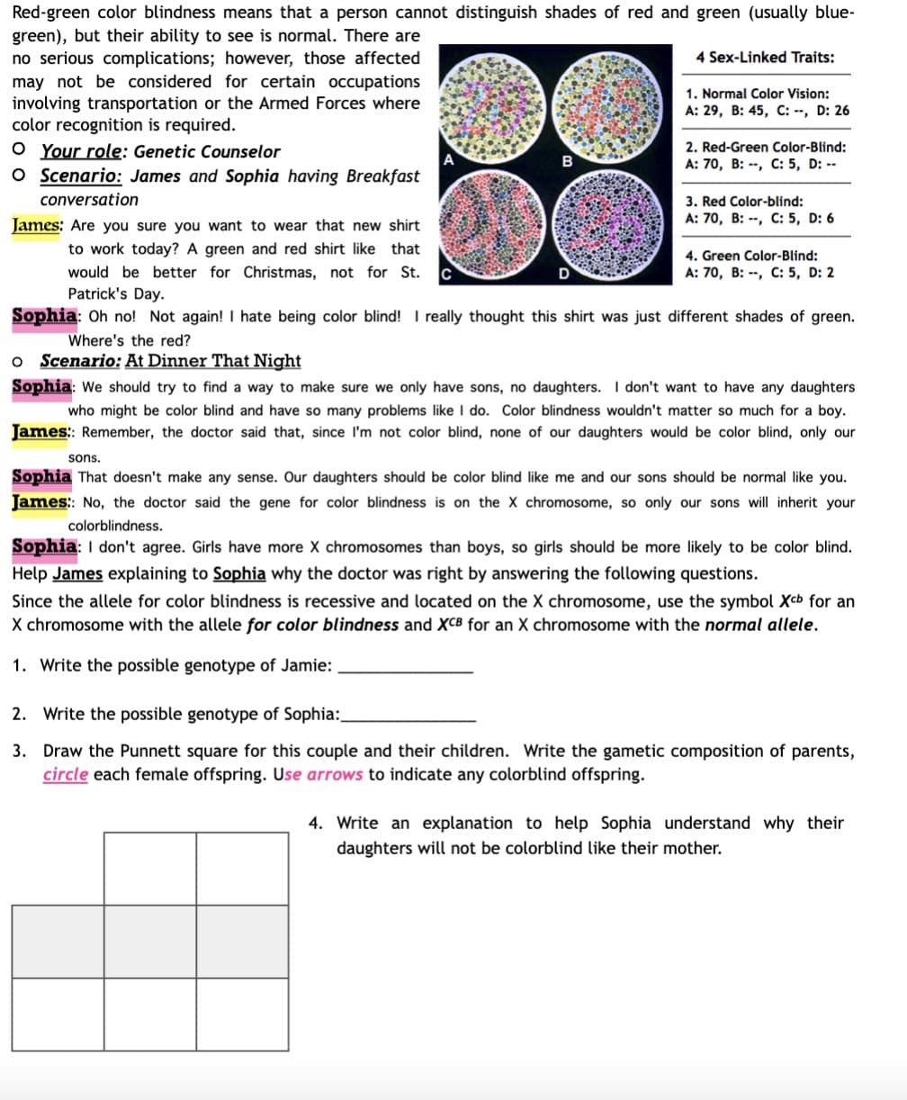 Red-green color blindness means that a person cannot distinguish shades of red and green (usually blue-
green), but their ability to see is normal. There are
no serious complications; however, those affected
may not be considered for certain occupations
involving transportation or the Armed Forces where
color recognition is required.
O Your role: Genetic Counselor
O Scenario: James and Sophia having Breakfast
conversation
4 Sex-Linked Traits:
1. Normal Color Vision:
A: 29, B: 45, C: --, D: 26
2. Red-Green Color-Blind:
A: 70, B:, C: 5, D: --
3. Red Color-blind:
A: 70, B:, C: 5, D: 6
James: Are you sure you want to wear that new shirt
to work today? A green and red shirt like that
would be better for Christmas, not for St.
Patrick's Day.
Sophia: Oh no! Not again! I hate being color blind! I really thought this shirt was just different shades of green.
Where's the red?
O Scenario: At Dinner That Night
4. Green Color-Blind:
A: 70, B:, C: 5, D: 2
Sophia: We should try to find a way to make sure we only have sons, no daughters. I don't want to have any daughters
who might be color blind and have so many problems like I do. Color blindness wouldn't matter so much for a boy.
James:: Remember, the doctor said that, since I'm not color blind, none of our daughters would be color blind, only our
sons.
Sophia That doesn't make any sense. Our daughters should be color blind like me and our sons should be normal like you.
James:: No, the doctor said the gene for color blindness is on the X chromosome, so only our sons will inherit your
colorblindness.
Sophia: I don't agree. Girls have more X chromosomes than boys, so girls should be more likely to be color blind.
Help James explaining to Sophia why the doctor was right by answering the following questions.
Since the allele for color blindness is recessive and located on the X chromosome, use the symbol Xcb for an
X chromosome with the allele for color blindness and XCB for an X chromosome with the normal allele.
1. Write the possible genotype of Jamie:
2. Write the possible genotype of Sophia:_
3. Draw the Punnett square for this couple and their children. Write the gametic composition of parents,
circle each female offspring. Use arrows to indicate any colorblind offspring.
4. Write an explanation to help Sophia understand why their
daughters will not be colorblind like their mother.