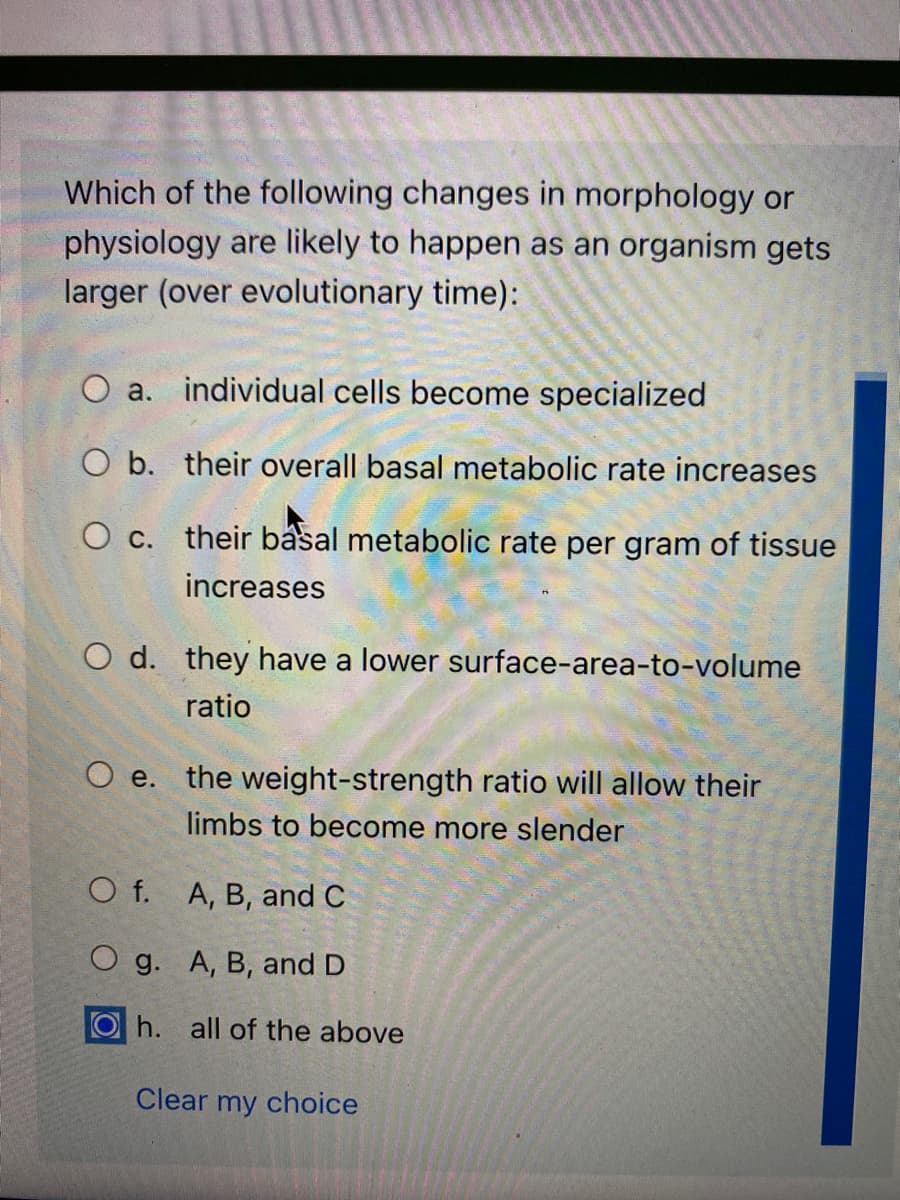 Which of the following changes in morphology or
physiology are likely to happen as an organism gets
larger (over evolutionary time):
O a. individual cells become specialized
O b. their overall basal metabolic rate increases
O c. their basal metabolic rate per gram of tissue
increases
O d. they have a lower surface-area-to-volume
ratio
O e.
the weight-strength ratio will allow their
limbs to become more slender
O f. A, B, and C
O g. A, B, and D
O h. all of the above
Clear my choice
