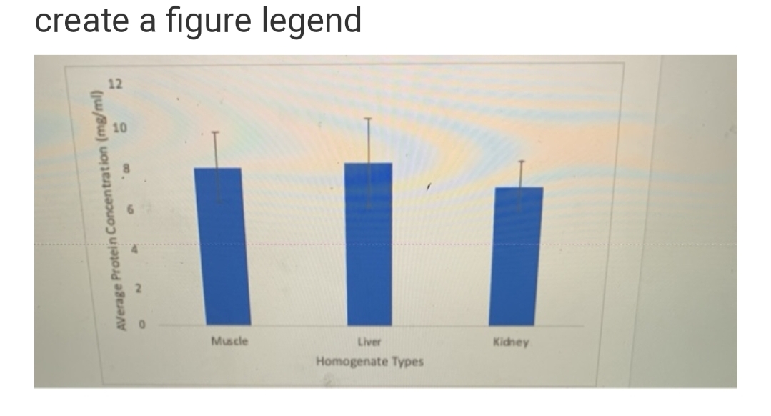 create a figure legend
12
10
Muscle
Liver
Kidney
Homogenate Types
AVerage Protein Concentration (mg/ml)
