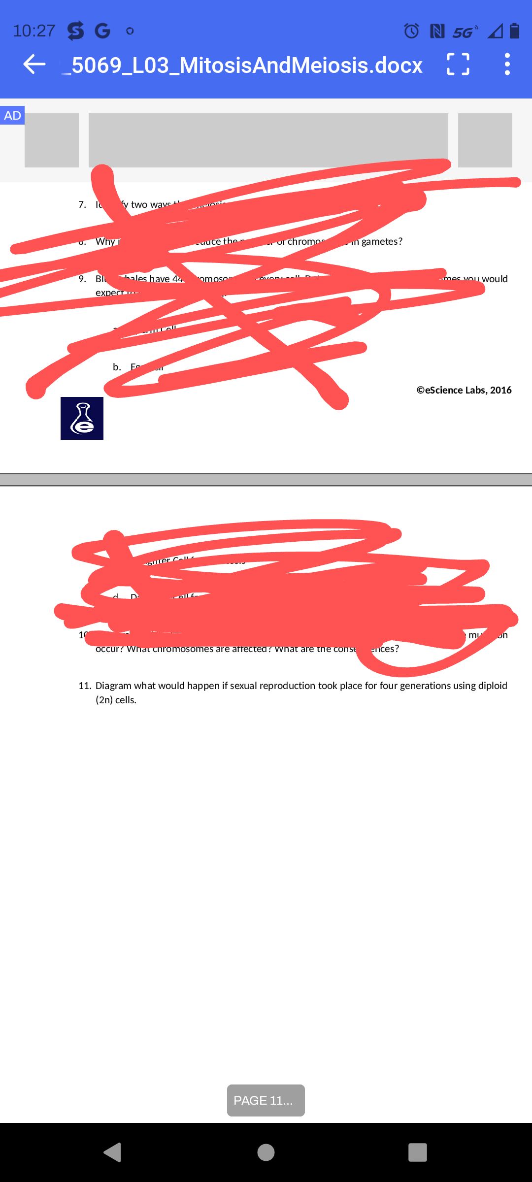 10:27 SG O
← _5069_L03_MitosisAndMeiosis.docx
AD
7. I fy two ways +
Why
9. Bl ales have 44
expect m
10
b.
Fo
suller Calle
auce the..
omose
or chromos in gametes?
overy cell
occur? What chromosomes are affected? What are the conse
ences?
PAGE 11...
ON 5G A
ר ח
LJ
mes you would
ⒸeScience Labs, 2016
mu on
11. Diagram what would happen if sexual reproduction took place for four generations using diploid
(2n) cells.