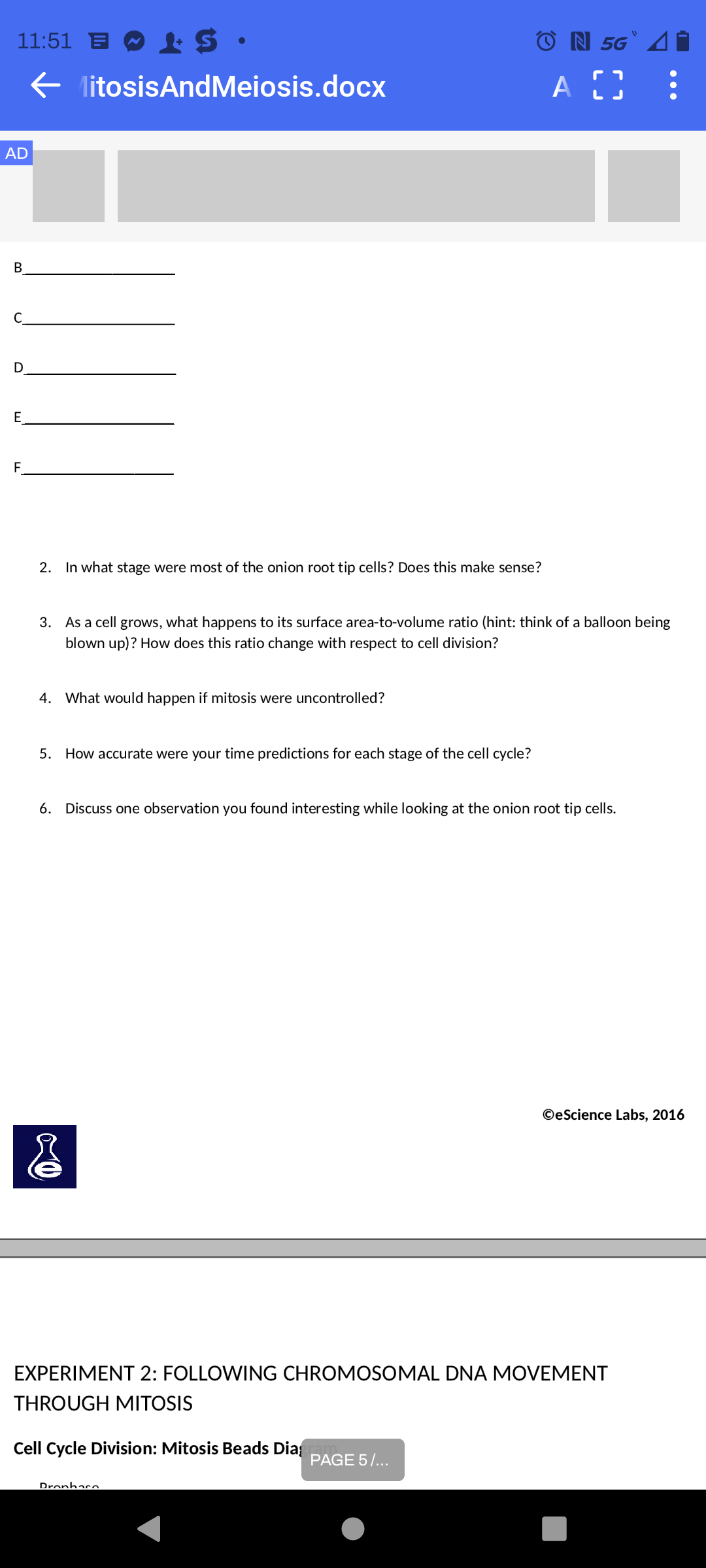 11:51 B
+$.
← MitosisAndMeiosis.docx
AD
B
C
D
E
F
2. In what stage were most of the onion root tip cells? Does this make sense?
4. What would happen if mitosis were uncontrolled?
3. As a cell grows, what happens to its surface area-to-volume ratio (hint: think of a balloon being
blown up)? How does this ratio change with respect to cell division?
5. How accurate were your time predictions for each stage of the cell cycle?
&
ON 5G A
A C
6. Discuss one observation you found interesting while looking at the onion root tip cells.
Cell Cycle Division: Mitosis Beads Dia
ר
Dronhaco
EXPERIMENT 2: FOLLOWING CHROMOSOMAL DNA MOVEMENT
THROUGH MITOSIS
PAGE 5/...
OeScience Labs, 2016