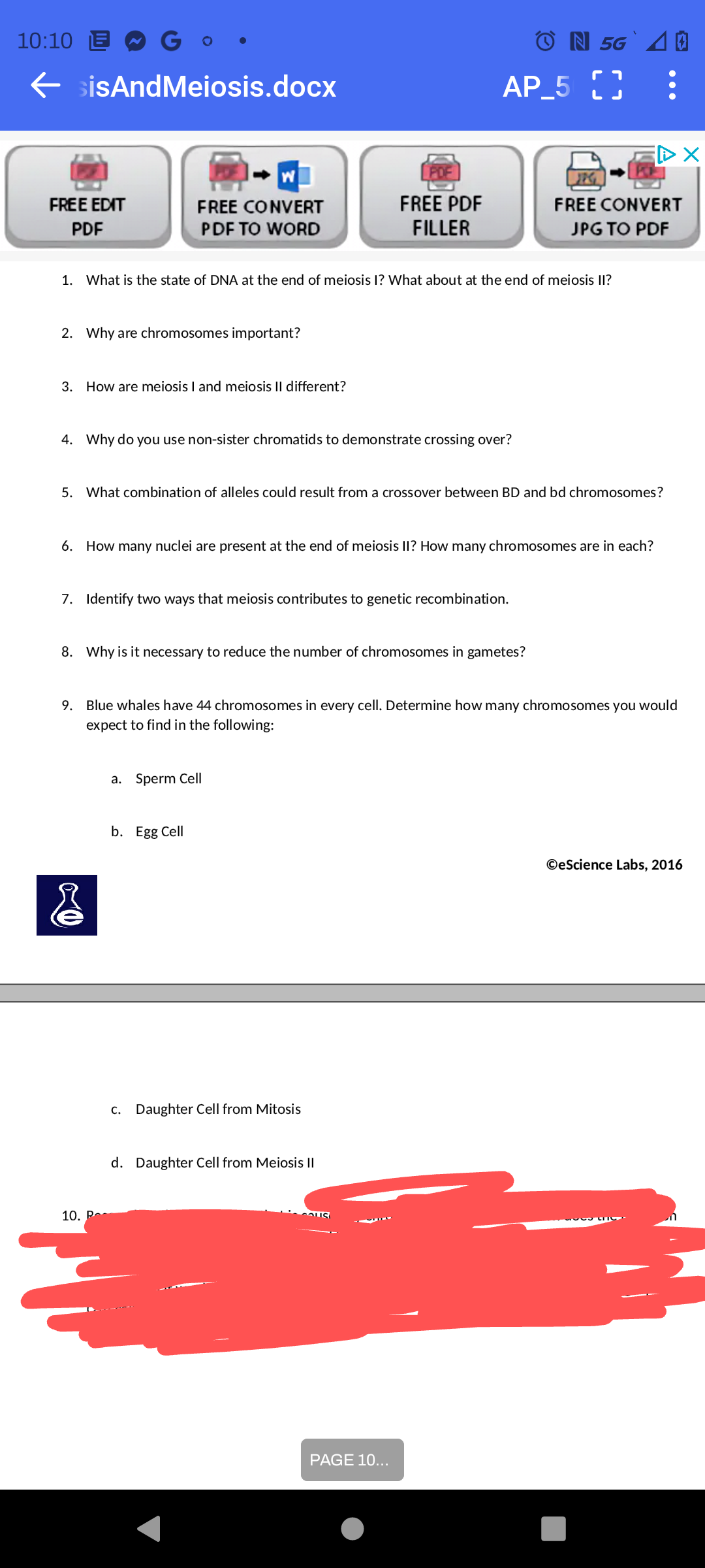 10:10 E
← sisAndMeiosis.docx
FREE EDIT
PDF
FREE CONVERT
PDF TO WORD
2. Why are chromosomes important?
3. How are meiosis I and meiosis II different?
1. What is the state of DNA at the end of meiosis I? What about at the end of meiosis II?
4. Why do you use non-sister chromatids to demonstrate crossing over?
7. Identify two ways that meiosis contributes to genetic recombination.
10. P
FREE PDF
FILLER
5. What combination of alleles could result from a crossover between BD and bd chromosomes?
8. Why is it necessary to reduce the number of chromosomes in gametes?
6. How many nuclei are present at the end of meiosis II? How many chromosomes are in each?
a. Sperm Cell
b. Egg Cell
AP_5
c. Daughter Cell from Mitosis
ON 5G I
9. Blue whales have 44 chromosomes in every cell. Determine how many chromosomes you would
expect to find in the following:
d. Daughter Cell from Meiosis II
COUS
ra
PAGE 10...
FREE CONVERT
JPG TO PDF
X
OeScience Labs, 2016