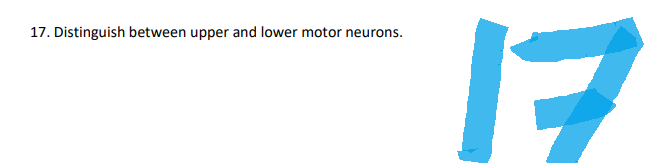 17. Distinguish between upper and lower motor neurons.
17