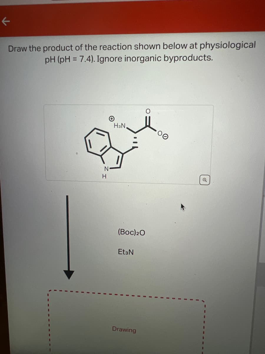 Draw the product of the reaction shown below at physiological
pH (pH = 7.4). Ignore inorganic byproducts.
N
H
✪
H3N,
(Boc) 20
Et3N
Drawing
Q