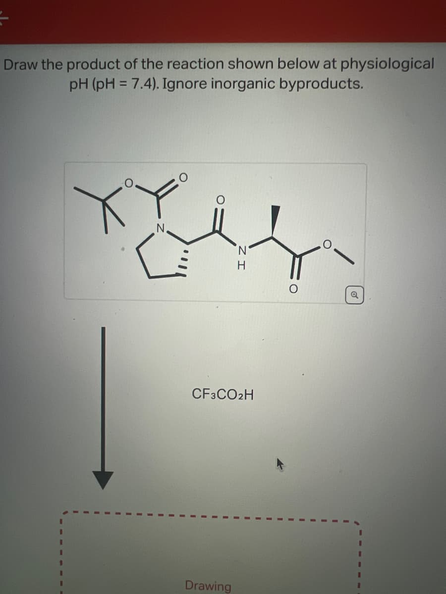 Draw the product of the reaction shown below at physiological
pH (pH = 7.4). Ignore inorganic byproducts.
I
Toin
N
N
H
CF3CO2H
Drawing
Q