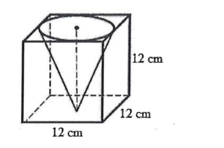 12 cm
12 cm
12 cm
