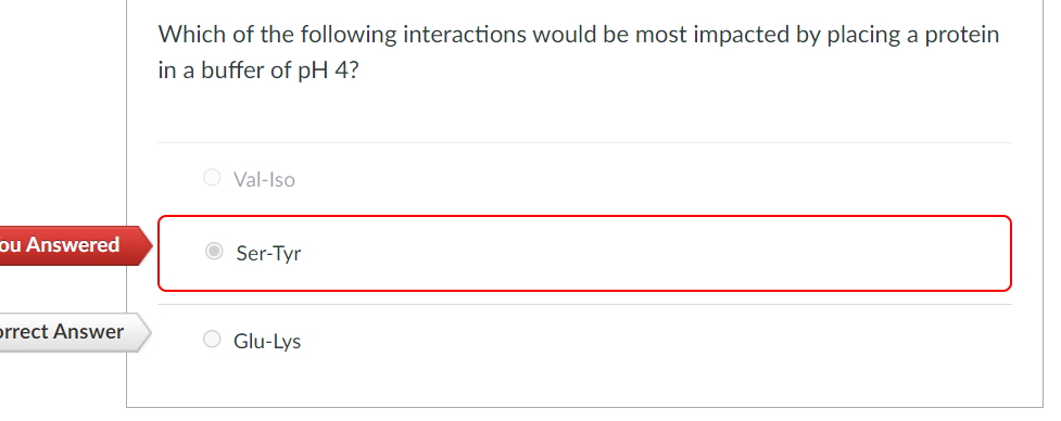 Which of the following interactions would be most impacted by placing a protein
in a buffer of pH 4?
O Val-Iso
ou Answered
O Ser-Tyr
prrect Answer
O Glu-Lys
