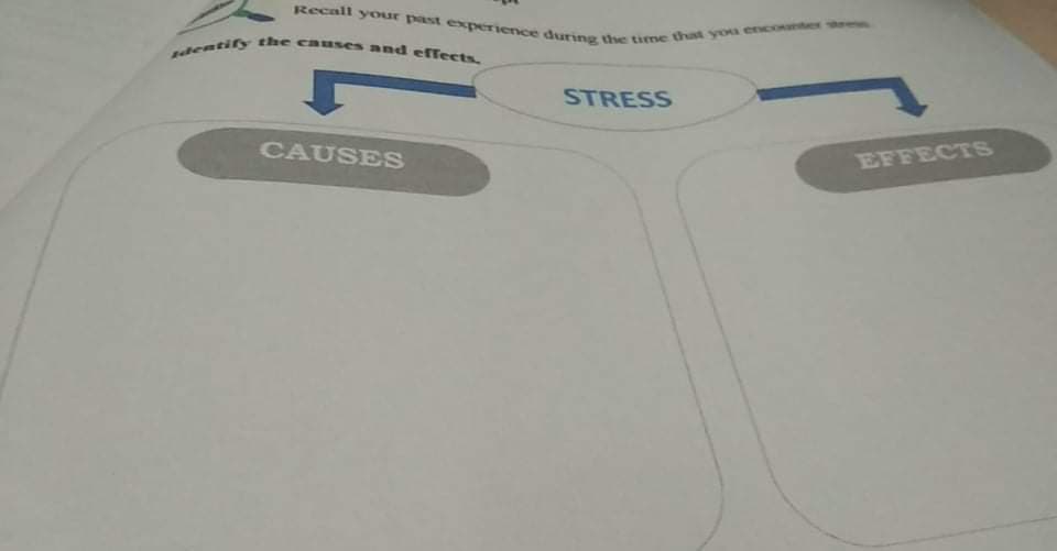 sdentify the causes and effects.
Recall your past experience during the time that youa encountes e
STRESS
CAUSES
EFFECTS
