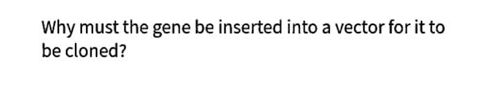 Why must the gene be inserted into a vector for it to
be cloned?
