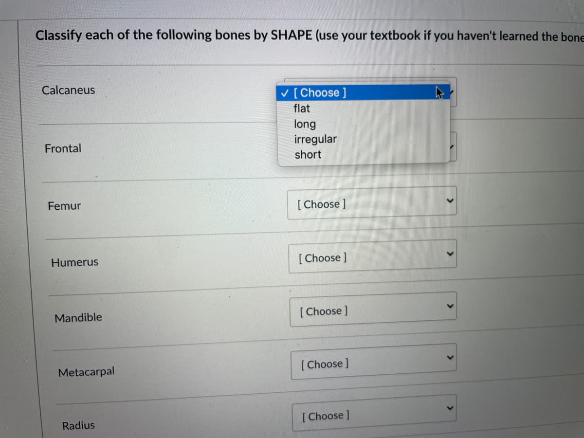 Classify each of the following bones by SHAPE (use your textbook if you haven't learned the bone
Calcaneus
v [Choose ]
flat
long
irregular
Frontal
short
Femur
[ Choose ]
[ Choose ]
Humerus
[ Choose ]
Mandible
[Choose ]
Metacarpal
[Choose ]
Radius
