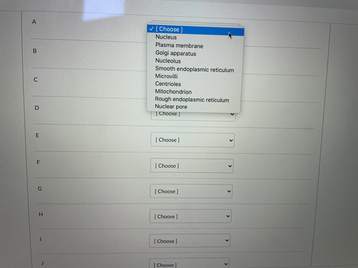 V [ Choose ]
Nucleus
Plasma membrane
Golgi apparatus
Nucleolus
Smooth endoplasmic reticulum
Microvilli
C
Centrioles
Mitochondrion
Rough endoplasmic reticulum
Nuclear pore
| Choose |
[ Choose )
[ Choose ]
[ Choose ]
H
[ Choose ]
[ Choose ]
J
[Choose
B.

