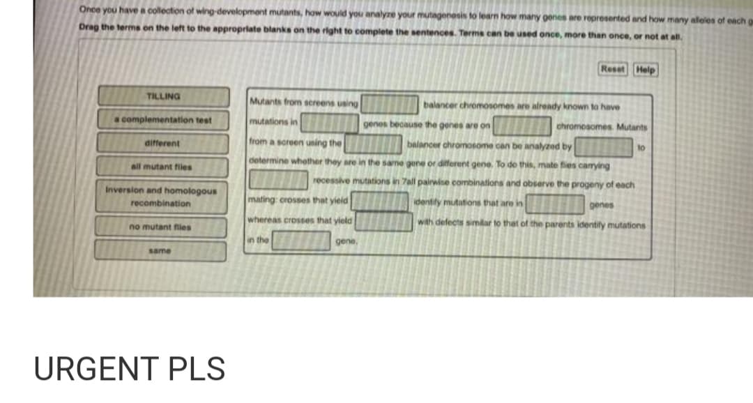 Once you have a collection of wing-development mutants, how would you analyze your mutagenesis to learn how many genes are ropresented and how many aleios of each g
Drag the terms on the left to the appropriate blanks on the right to complete the sentences. Terms can be used once, more than once, or not at all.
Reset Help
TILLING
Mutants from sereens using
balancer chromosomes are already known to have
acomplementation test
mutations in
genes because the genes are on
chromosomes. Mutants
from a soreen uning the
balancer chronosome can be analyzed by
different
to
determine whether they are in the same gone or different gene. To do this, mate fies carying
all mutant fiies
recessive mutations in 7all pairwise combinations and observe the progeny of each
Inversion and homologous
recombination
mating: crosses that yield
identity mutations that are in
genes
whereas crosses that yield
with defects similar to that of the parents identify mutations
no mutant fles
in the
gene.
same
URGENT PLS
