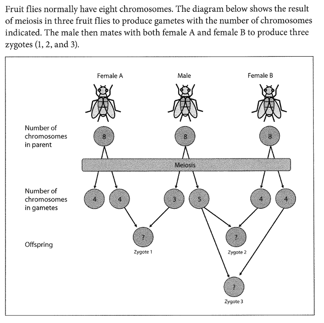 Fruit flies normally have eight chromosomes. The diagram below shows the result
of meiosis in three fruit flies to produce gametes with the number of chromosomes
indicated. The male then mates with both female A and female B to produce three
zygotes (1, 2, and 3).
Number of
chromosomes
in parent
Number of
chromosomes
in gametes
Offspring
Female A
Zygote 1
Male
Meiosis
in
Zygote 2
Zygote 3
Female B