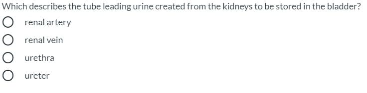 Which describes the tube leading urine created from the kidneys to be stored in the bladder?
renal artery
renal vein
urethra
ureter
