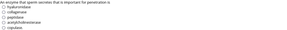 An enzyme that sperm secretes that is important for penetration is
O hyaluronidase
O collagenase
O peptidase
O acetylcholinesterase
O copulase.
