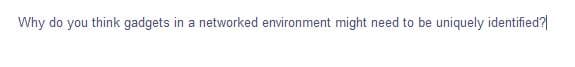 Why do you think gadgets in a networked environment might need to be uniquely identified?|
