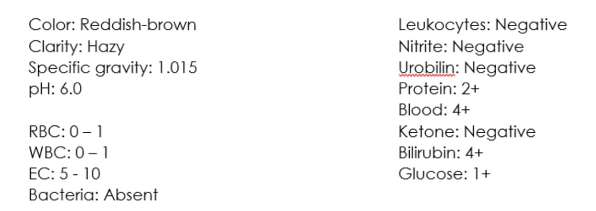 Leukocytes: Negative
Nitrite: Negative
Urobilin: Negative
Color: Reddish-brown
Clarity: Hazy
Specific gravity: 1.015
pH: 6.0
Protein: 2+
Blood: 4+
RBC: 0 – 1
Ketone: Negative
WBC: 0 – 1
ЕC: 5 - 10
Bilirubin: 4+
Glucose: 1+
Bacteria: Absent
