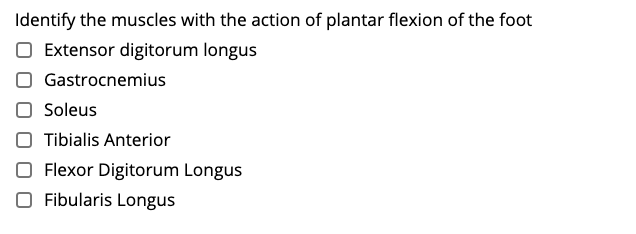 Identify the muscles with the action of plantar flexion of the foot
Extensor digitorum longus
Gastrocnemius
Soleus
Tibialis Anterior
Flexor Digitorum Longus
Fibularis Longus
