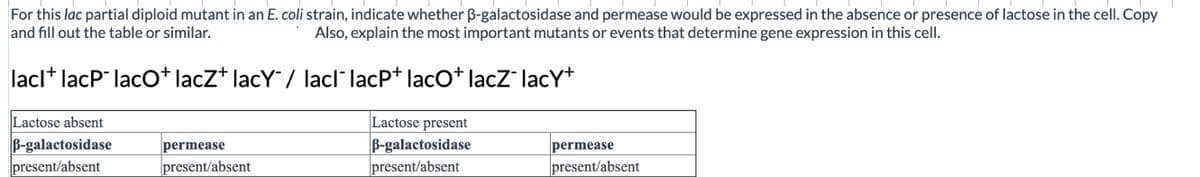 For this lac partial diploid mutant in an E. coli strain, indicate whether B-galactosidase and permease would be expressed in the absence or presence of lactose in the cell. Copy
and fill out the table or similar.
Also, explain the most important mutants or events that determine gene expression in this cell.
lacl* lacP" lacO* lacz* lacY/ lacl lacPt lacO* lacZ lacY+
Lactose absent
Lactose present
B-galactosidase
present/absent
B-galactosidase
|present/absent
permease
permease
present/absent
present/absent
