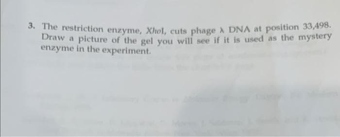 3. The restriction enzyme, Xhol, cuts phage X DNA at position 33,498.
Draw a picture of the gel you will see if it is used as the mystery
enzyme in the experiment.