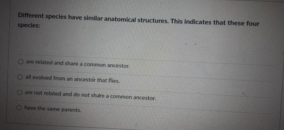 Different species have similar anatomical structures. This indicates that these four
species:
are related and share a common ancestor.
O all evolved from an ancestor that flies.
O are not related and do not share a common ancestor.
O have the same parents.
