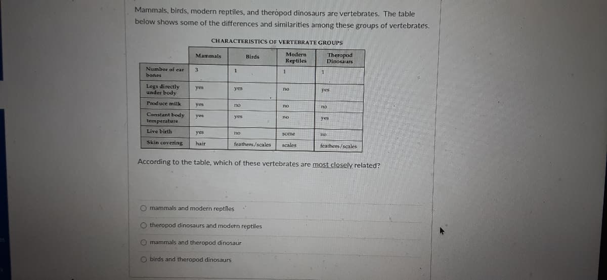 Mammals, birds, modern reptiles, and therópod dinosaurs are vertebrates. The table
below shows some of the differences and similarities among these groups of vertebrates.
CHARACTERISTICS OF VERTEBRATE GROUPS
Modern
Theropod
Dinosaurs
Mammals
Birds
Reptiles
Number of ear
bones
3
1
1
1
Legs directly
under body
yes
yes
no
yes
Produce milk
ves
no
no
no
Constant body
temperature
yes
yes
no
yes
Live birth
yes
no
Some
Skin covering
hair
feathers/scales
scales
feathers/scales
According to the table, which of these vertebrates are most closely related?
O mammals and modern reptiles
O theropod dinosaurs and modern reptiles
O mammals and theropod dinosaur
O birds and theropod dinosaurs
