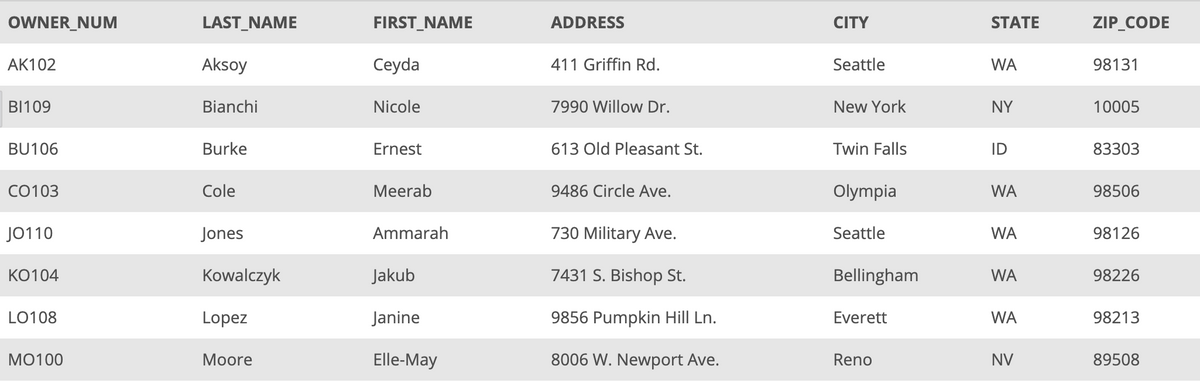 OWNER_NUM
LAST_NAME
FIRST_NAME
ADDRESS
CITY
STATE
ZIP_CODE
AK102
Aksoy
Ceyda
411 Griffin Rd.
Seattle
WA
98131
BI109
Bianchi
Nicole
7990 Willow Dr.
New York
NY
10005
BU106
Burke
Ernest
613 Old Pleasant St.
Twin Falls
ID
83303
CO103
Cole
Meerab
9486 Circle Ave.
Olympia
WA
98506
J0110
Jones
Ammarah
730 Military Ave.
Seattle
WA
98126
КО104
Kowalczyk
Jakub
7431 S. Bishop St.
Bellingham
WA
98226
LO108
Lopez
Janine
9856 Pumpkin Hill Ln.
Everett
WA
98213
МO100
Мoore
Elle-May
8006 W. Newport Ave.
Reno
NV
89508
