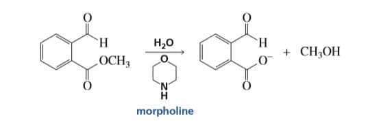 H.
Н,о
н
CH3OH
OCH3
'N"
morpholine
