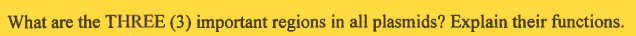 What are the THREE (3) important regions in all plasmids? Explain their functions.