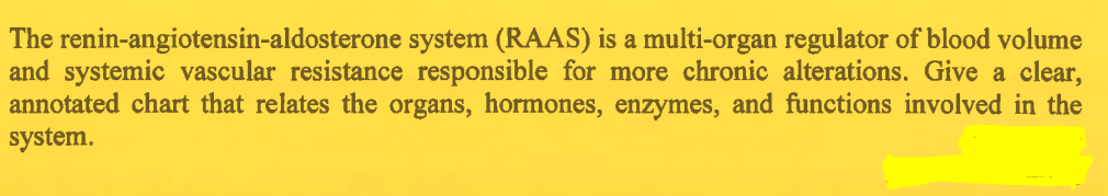 The renin-angiotensin-aldosterone system (RAAS) is a multi-organ regulator of blood volume
and systemic vascular resistance responsible for more chronic alterations. Give a clear,
annotated chart that relates the organs, hormones, enzymes, and functions involved in the
system.