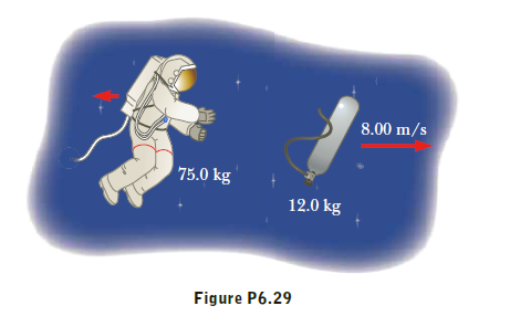 8.00 m/s
75.0 kg
12.0 kg
Figure P6.29
