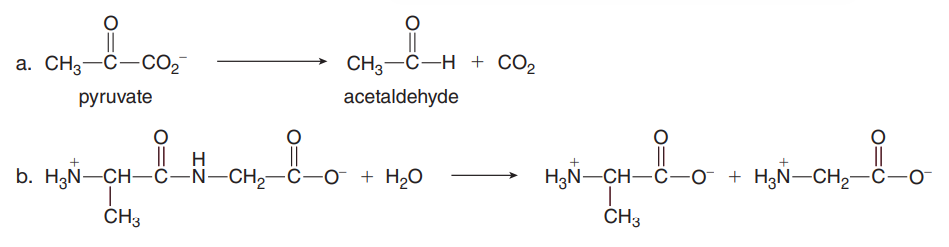 a. CH3-C-CO2
CH3-C-H + CO2
pyruvate
acetaldehyde
I| H
b. H3Ñ-CH-ĉ–N-CH2-C-o + H20
||
H3N-CH-C-o + H3Ñ–CH2–Ĉ-o
HạN-CH-
CH3
CH3
