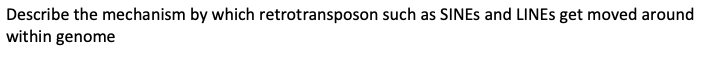 Describe the mechanism by which retrotransposon such as SINES and LINES get moved around
within genome
