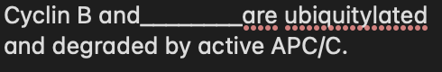 Cyclin B and_
and degraded by active APC/C.
Lare ubiquitylated
