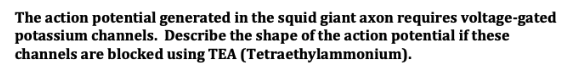 The action potential generated in the squid giant axon requires voltage-gated
potassium channels. Describe the shape of the action potential if these
channels are blocked using TEA (Tetraethylammonium).