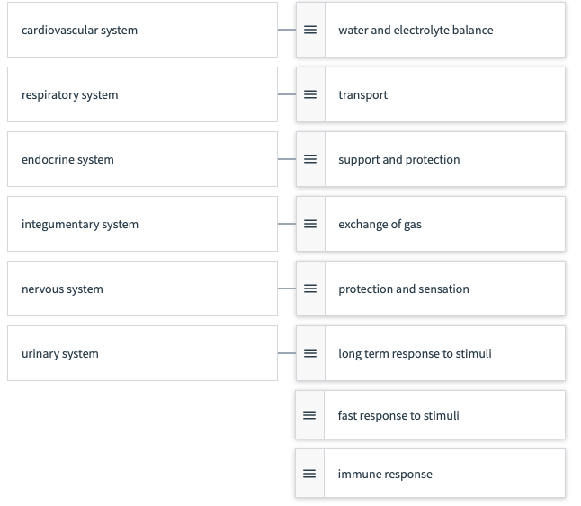 The image presents a matching activity that correlates various human body systems with their respective functions. Each system is listed on the left, with a corresponding function on the right. Below is the transcribed matching:

1. **Cardiovascular system** -> **water and electrolyte balance**
2. **Respiratory system** -> **transport**
3. **Endocrine system** -> **support and protection**
4. **Integumentary system** -> **exchange of gas**
5. **Nervous system** -> **protection and sensation**
6. **Urinary system** -> **long term response to stimuli**
7. **(unmatched entry)** -> **fast response to stimuli**
8. **(unmatched entry)** -> **immune response**

It appears there are eight function descriptions but only six systems listed. Therefore, two functions (`fast response to stimuli` and `immune response`) do not currently have corresponding body systems on this chart.

### Explanation of Diagram:

The diagram likely represents an educational tool to help students understand the primary functions of different body systems. It can be inferred that the diagram is meant to demonstrate:
- How each system of the body contributes to overall homeostasis and functionality.
- Encouraging learners to critically think about which systems perform specific roles within the human body.

This tool can be used interactively in an educational context, either as a worksheet to complete or as a visual aid during a lesson.