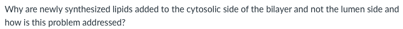 Why are newly synthesized lipids added to the cytosolic side of the bilayer and not the lumen side and
how is this problem addressed?
