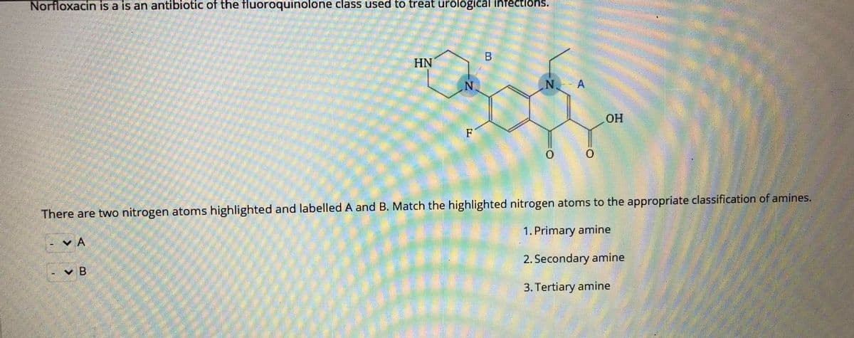 Norfloxacin is a is an antibiotic of the fluoroquinolone class used to treat urological infections.
HN
N A
OH
F
There are two nitrogen atoms highlighted and labelled A and B. Match the highlighted nitrogen atoms to the appropriate classification of amines.
1. Primary amine
v A
2. Secondary amine
v B
3. Tertiary amine
